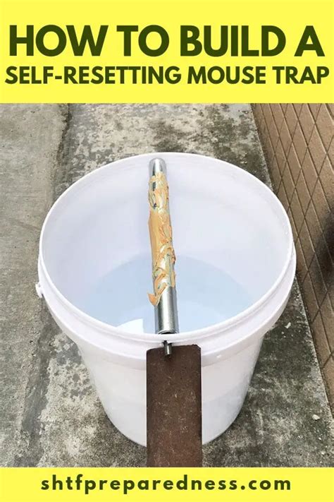 5 gallon bucket mouse trap|diy 5 gallon bucket mouse trap.